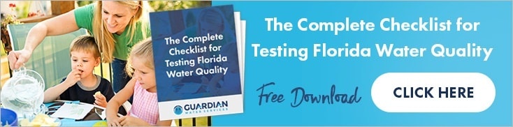 The Complete Checklist for Testing Florida Water Quality